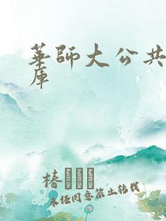 华师大公共数据库