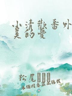 小清欢番外篇完美的爱