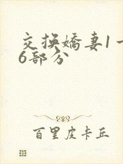 交换娇妻1一36部分