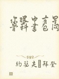 你眼中有星辰h骨科书包网