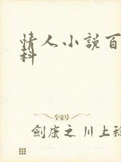 情人小说百度百科