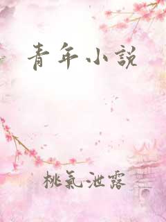 青年小说