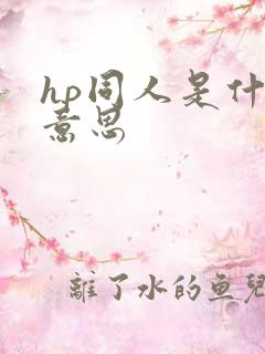 hp同人是什么意思