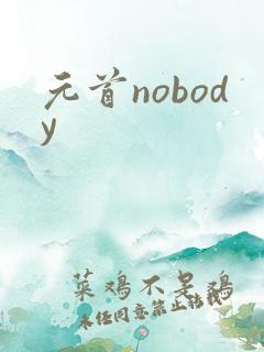 元首nobody