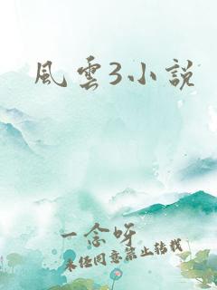 风云3小说