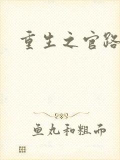 重生之官路风流