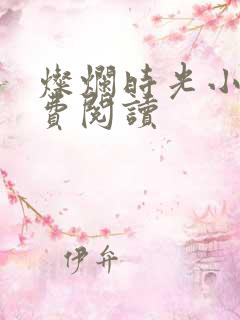 灿烂时光小说免费阅读