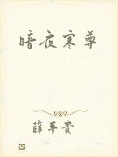 暗夜寒尊