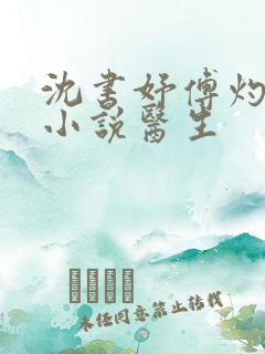 沈书妤傅灼抖音小说医生