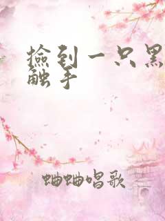 捡到一只黑心小触手