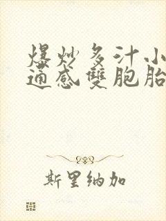 爆炒多汁小美人通感双胞胎