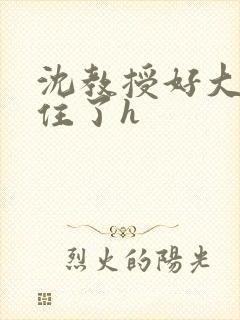 沈教授好大含不住了h