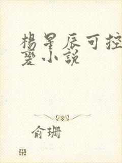 杨星辰可控核聚变小说