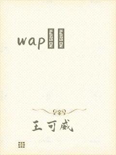 wapС˵