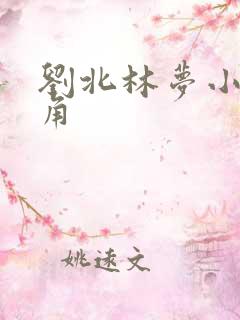 刘北林梦小说主角