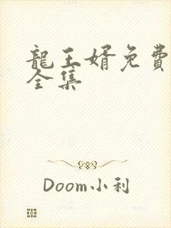 龙王婿免费完结全集
