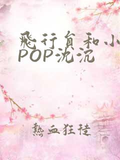 飞行员和小空乘POP沈沉