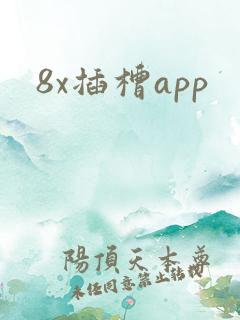 8x插槽app