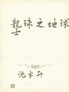 龙珠之地球人战士