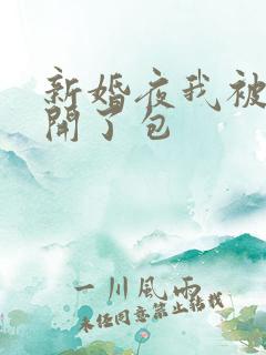 新婚夜我被伴郎开了包