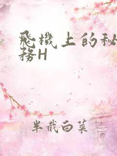 飞机上的秘密服务H