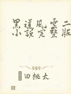 黑道风云二十年小说完整版