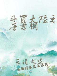 斗罗大陆之肉奴唐舞桐