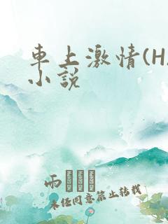 车上激情(H)小说