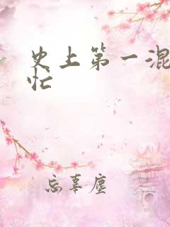 史上第一混乱刘忙