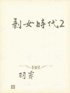 剩女时代2