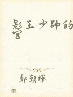 影王少帅的女长官