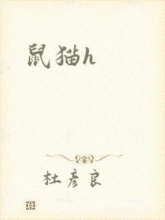 鼠猫h