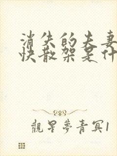 消失的夫妻女主快散架是什么意思