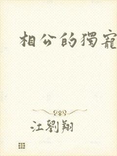 相公的独宠妻子