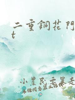 二重铜花门txt