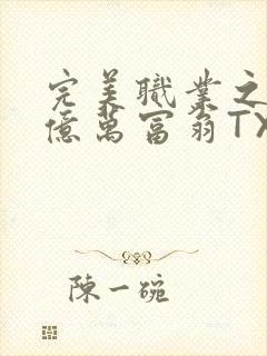 完美职业之我是亿万富翁TXT