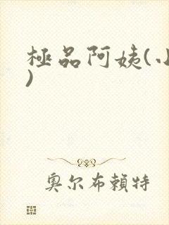 极品阿姨(小说)