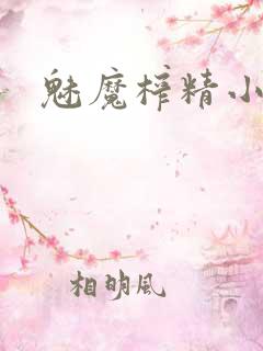 魅魔榨精小说