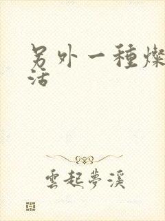 另外一种灿烂生活