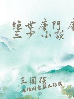 绝世唐门 唐家三少 小说