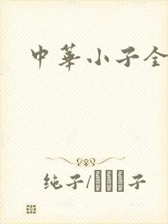 中华小子全集
