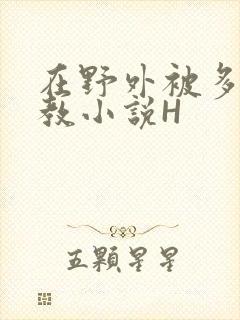 在野外被多人调教小说H