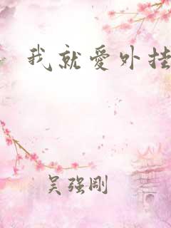 我就爱外挂网