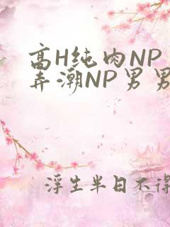 高H纯肉NP 弄潮NP男男