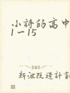 小诗的高中日记1一15