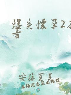 爆炎怀孕2在线看