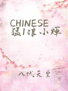 CHINESE猛1浪小辉
