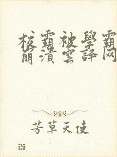 校霸被学霸玩到崩溃云译网