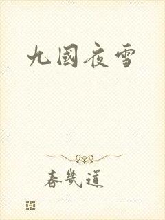 九国夜雪