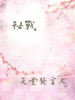 秘战